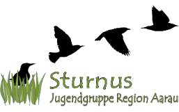 Logo Sturnus