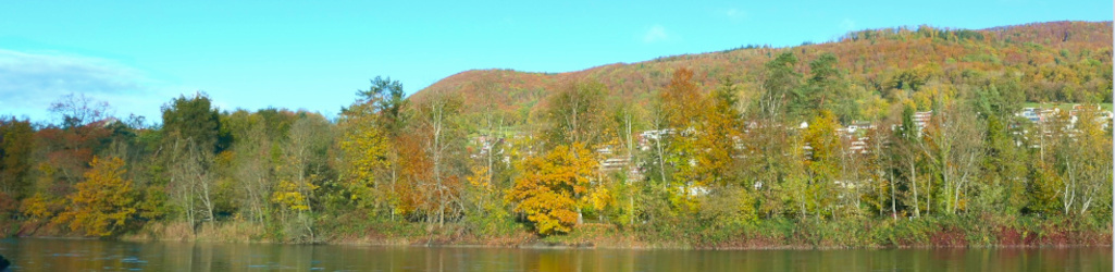 Panorama Wiese mit Schwalbenschwanz