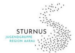 Logo Sturnus