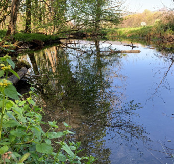 Giessen im Rohrer Schachen